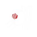 Cricket icon